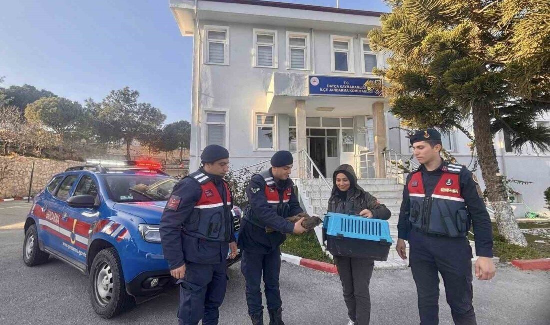 MUĞLA'DA JANDARMA EKİPLERİ YARALI