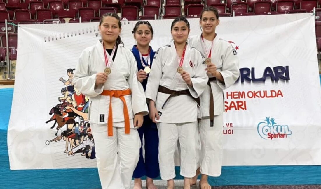 ISPARTA'DA DÜZENLENEN JUDO GRUP