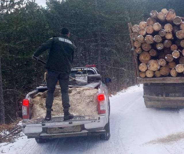 SİMAV’DA ORMAN YOLUNDA KALAN