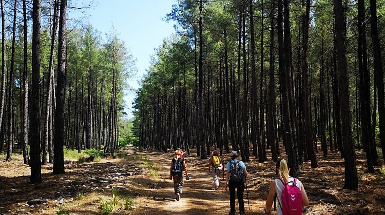 Muğla, Alternatif Turizmde Yeni Fırsatlar Sunuyor: Karya Yürüyüş Rotası Yeniden Tanıtıldı!