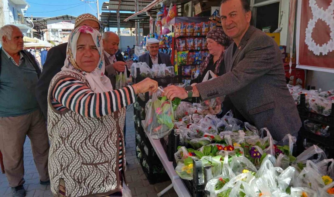 AYDIN'IN BOZDOĞAN İLÇESİNDEKİ KADINLARIN