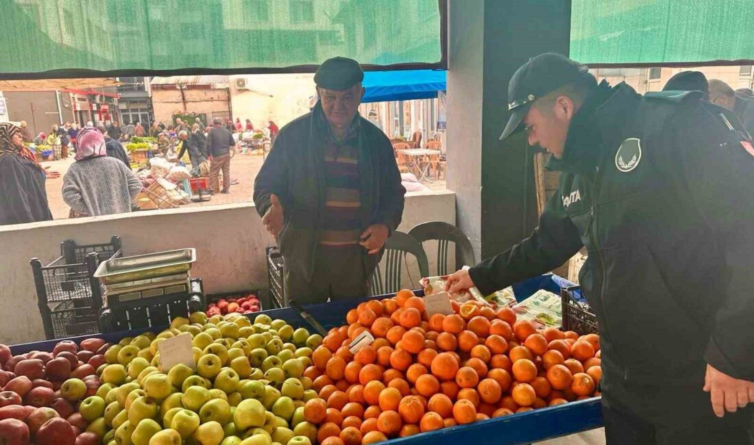 AYDIN'IN ÇİNE İLÇESİNDE ZABITA