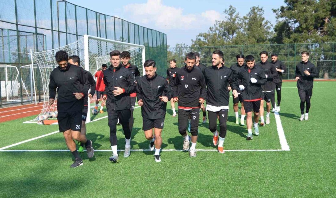 TFF BÖLGESEL AMATÖR LİG