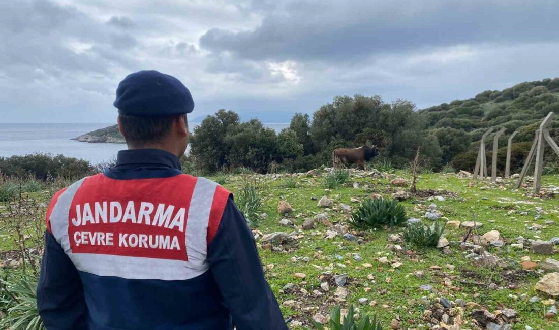 AYDIN’IN KUŞADASI İLÇESİNDE BULUNAN