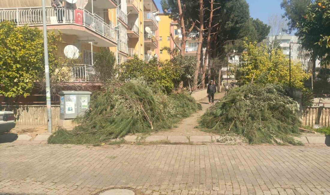 EFELER BELEDİYESİ, ÖZEL MÜLKİYET