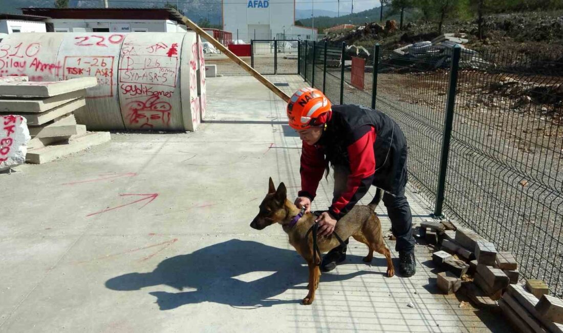 MUĞLA NAK ARAMA KURTARMA