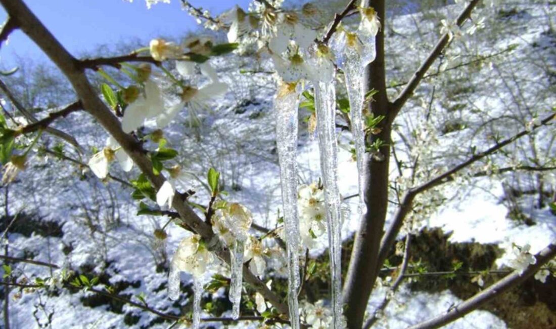 MUĞLA 19 MART’TAN 24