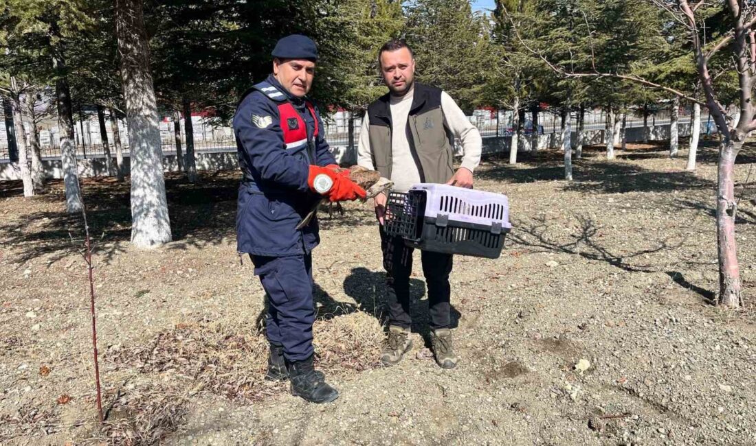 AFYONKARAHİSAR’DA VATANDAŞLAR TARAFINDAN YARALI